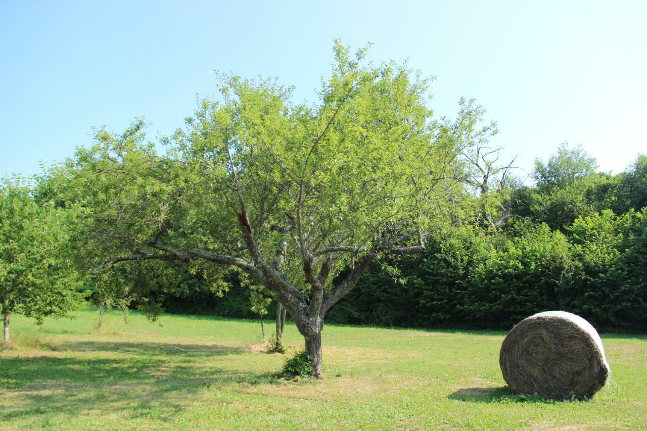 La Valle De' Medici Barberino di Mugello Exterior photo